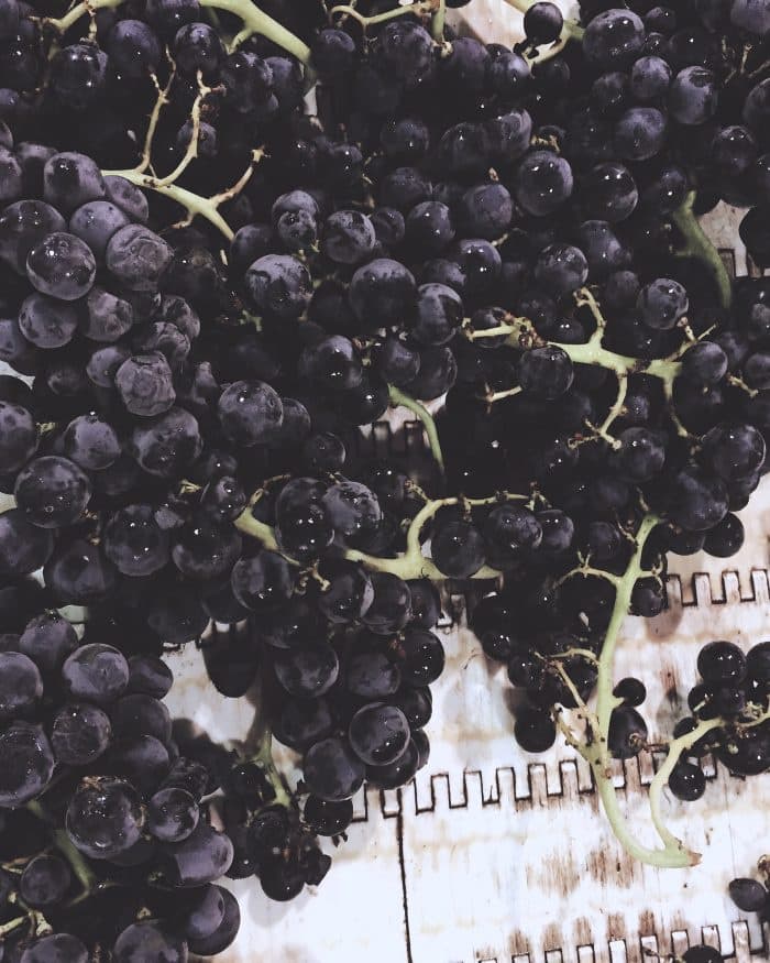 Kir-Yianni gallery image 29