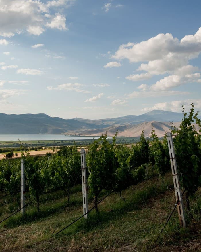 Kir-Yianni gallery image 31