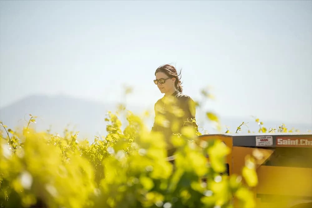 Domaine La Barroche gallery image 1