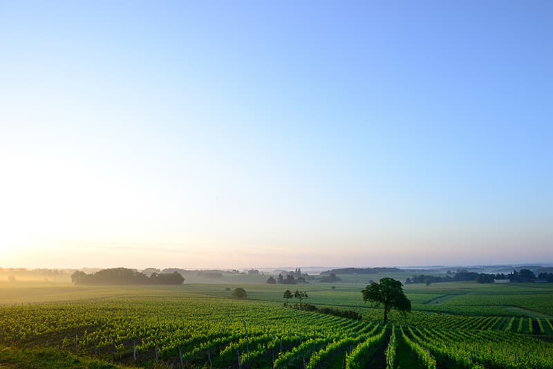 Château Roquefort gallery image 7