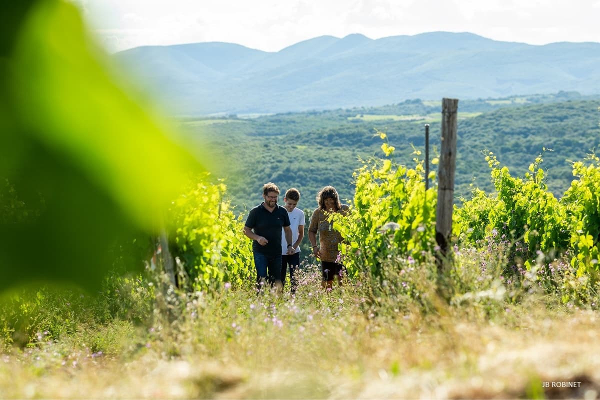 Domaine Ollier-Taillefer header