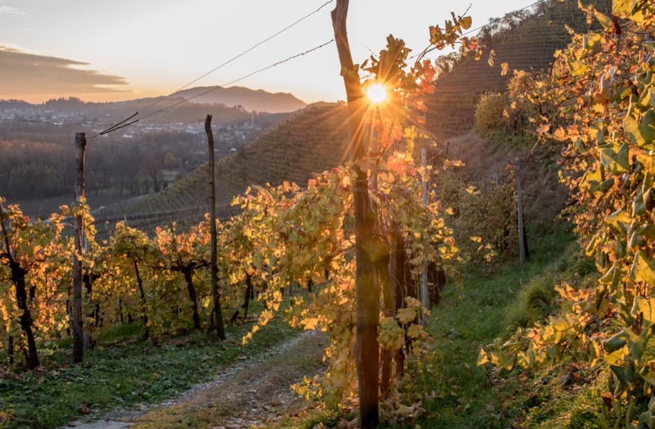 Sorelle Bronca gallery image 2