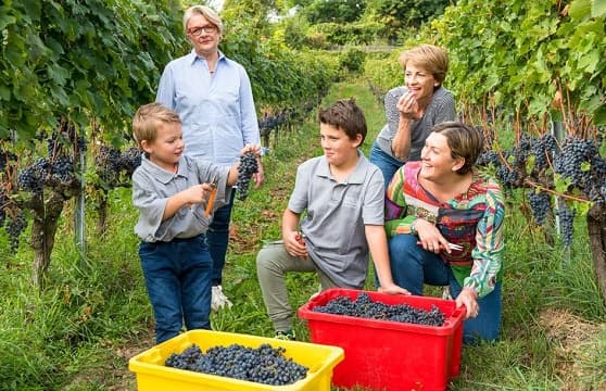 Sorelle Bronca gallery image 3