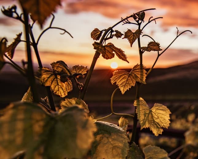 Sorelle Bronca gallery image 5