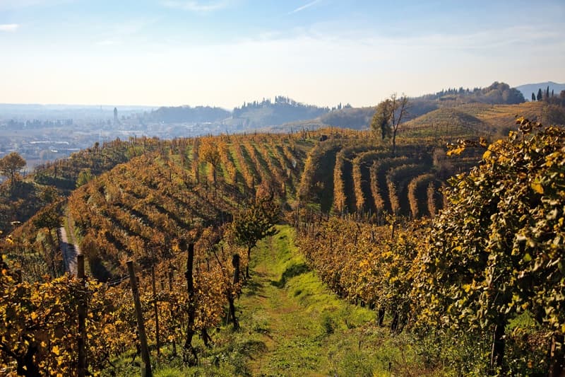 Sorelle Bronca gallery image 8