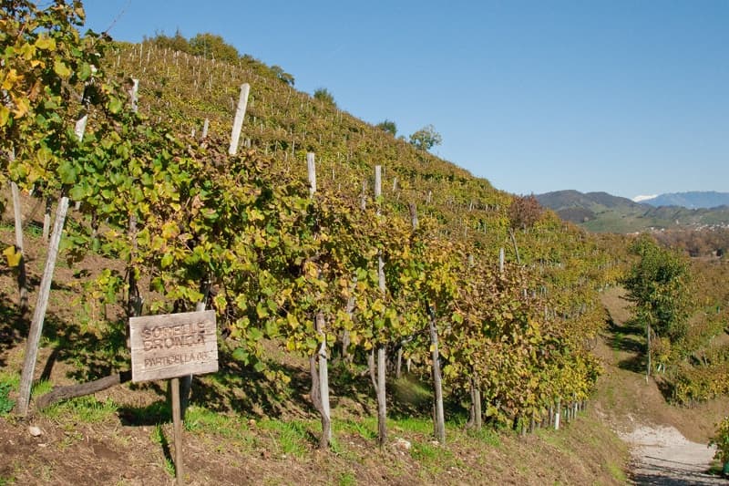 Sorelle Bronca header